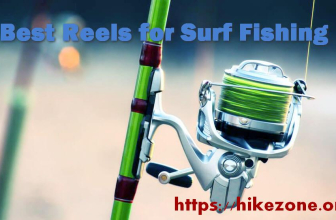 7 Best Reels for Surf Fishing Reviews + Buyer’s Guide