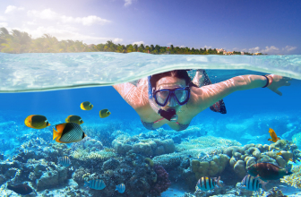 Best Scuba Masks Reviews of 2022 – Our TOP 6 picks and Buyer’s guide