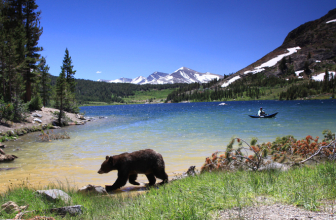 How To Protect Yourself From Bears While Hiking