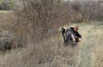 How to Scout for Deer During Spring Turkey Hunts