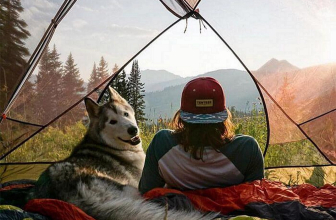 Top Tents for Camping with a Dog: Guide to Making a Tent Dog-Friendly