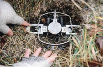 Types of Hunting Traps