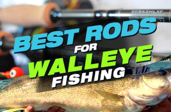 Best Rods for Walleye in 2022. Reviews & Buyer’s Guide