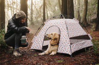 Best Dog Tent of 2022 – Make a Good Buy for a Good Boy