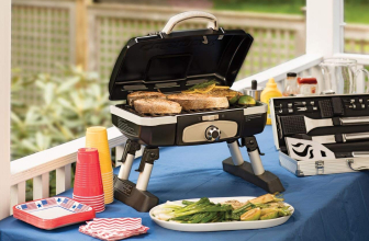 Reviews of Best Small and Portable Gas Grills – TOP Picks of 2022